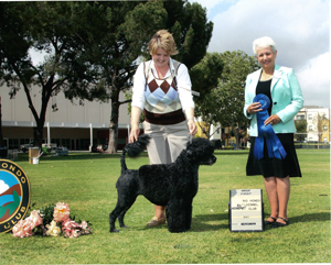 Judge Eva Berg Rio Hondo 2010 Group 1